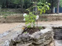 Ravissant Mas à Saignon Très Confortable, Piscine, Grand Parc, Animaux Acceptés