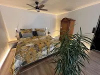 Budahome in the Black Forest