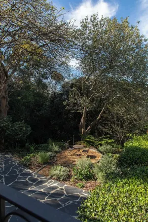 Pointers Villa with views of the vineyards, ocean and breathtaking sunrises.