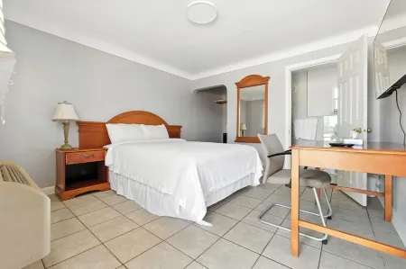 ICheck Inn Motel Отели в г. Текамсе