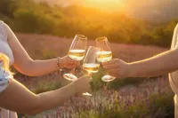 Elegance and relaxation in the Langhe, Italy