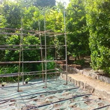 Terraced studio on a botanical garden, facing lake Maggiore