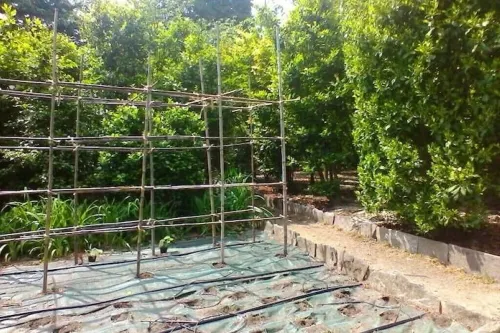 Terraced studio on a botanical garden, facing lake Maggiore Hotels in Gonte