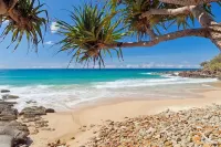 Wildwood Oasis: Hinterland & Coast Escape