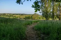 In the heart of the Pays d'Auge, charming little house... Hotels in Livarot-Pays-d'Auge