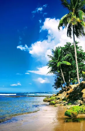 Surfside Beach Condo in wonderful Aguada, PR Отели в г. Каррисаль