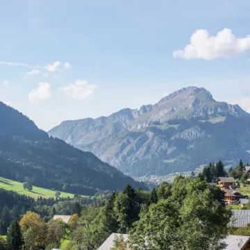 Chalet in Châtel near Les Portes du Soleil