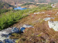 10 person holiday home in Follafoss-By Traum Hotels in 