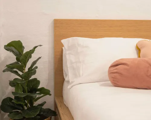 Garden Apartment in the heart of Bondi Hotels in Bondi