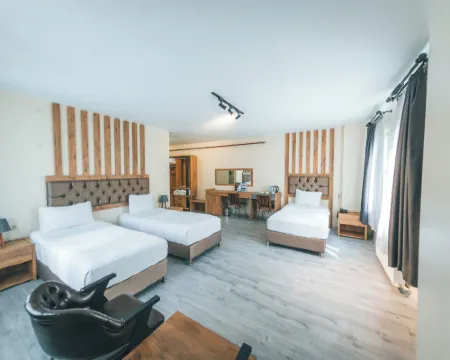 Grand 464 Otel Hotels in Rize