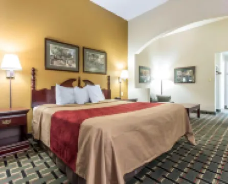 Econo Lodge Inn & Suites Marietta