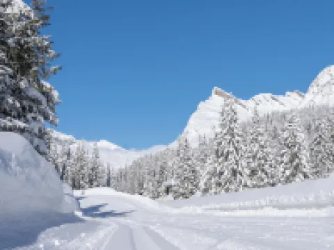 Hotel Brocco & Posta Hotels in Mesocco