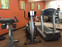 Holiday Inn Express & Suites CHICAGO-ALGONQUIN by IHG - gimnasio