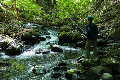 ホテル周辺 扉温泉明神館の写真