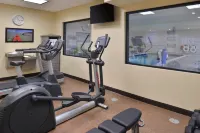 Holiday Inn Express & Suites DEARBORN SW - DETROIT AREA by IHG - Gym