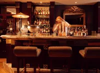 伊斯坦堡君悦酒店 - 酒吧