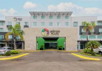 Hotel México Plaza Irapuato - Phòng Gym