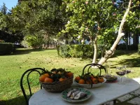 Masseria Case Damma Hotels in 