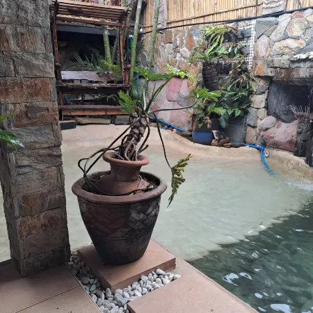 Tribal Bliss Private Resort in Lipa Batangas, a privat Guest Room with Pool