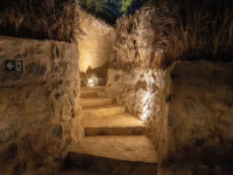 ハッタ ビレッジ ロッジズ ハッタのホテル