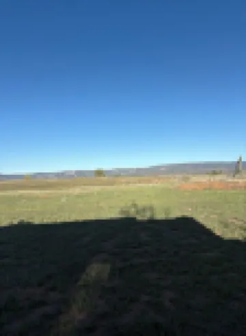 Welcome to the Bee Bus – A Cozy One-of-a-Kind Tiny Home with Mountain Views