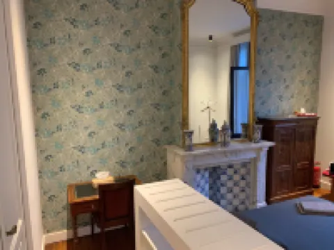 Albert Molière Hotels near Forest National