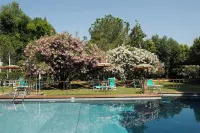 Hermitage Hotel & Resort Forte dei Marmi - Starhotels Collezione - Romantische