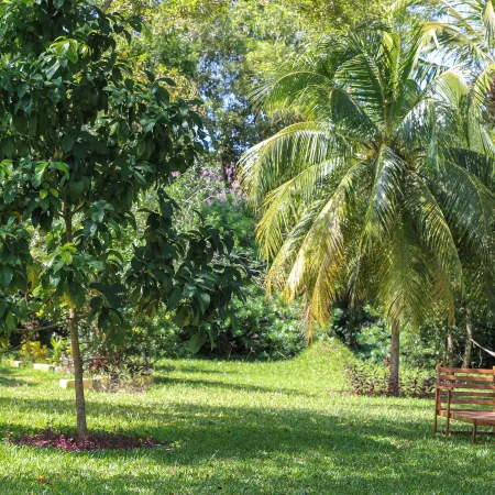 MKUNGU HOUSE PRIVATE VILLA
