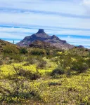 The Artists Cottage ~ Fun desert getaway