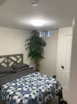 Newly Renovated Two Bedroom Apartment - Condos