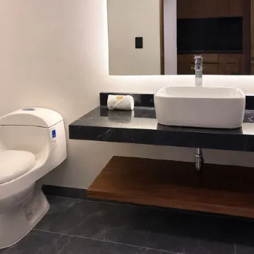 Hotel Suites Regente