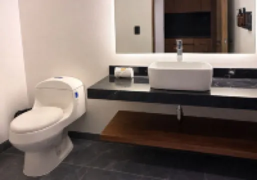 Hotel Suites Regente