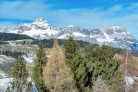 Modern Apartment Ski-in - Mont D'arbois With View - chambre d’hôtes