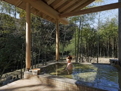 Uguisudani Onsen Takenoha - 2-Star