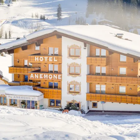 Hotel Anemone