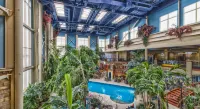 LHotelQuébec - Kolam Renang