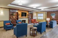 Comfort Inn & Suites Navasota - Wifi