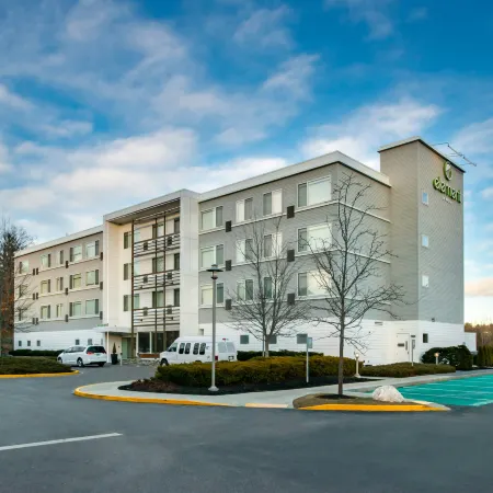 Element Lexington
