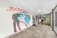 Red Roof Inn Niagara Falls - Pet Friendly