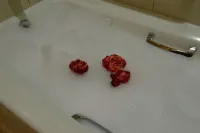 Best Western Plus Silverdale Beach Hotel - Bathtub