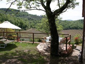 Hut in The Heart of Chianti, with Jacuzzi in The Garden