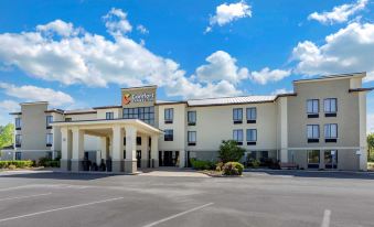 Comfort Inn & Suites Lincoln Talladega I-20