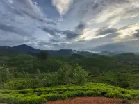 Palm Tree Inn Hotels in Idukki