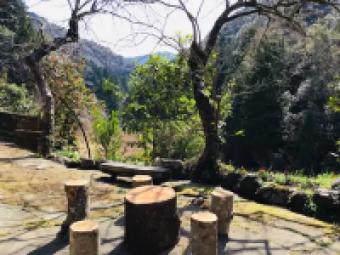 Old Guest House / Sleeping Fox