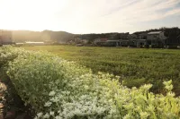 Paju Hustay Pension - 家庭旅館