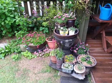 Boeun Songnisan Wildflower Pension Отели в г. Поын