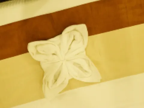 Hotel DR Indraaprasthaa Hotels in Kurnool