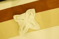 Hotel DR Indraaprasthaa فنادق في Kurnool