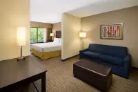 Holiday Inn Express & Suites Alpharetta - Windward Parkway