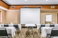 Comfort Suites Hotels in Owensboro